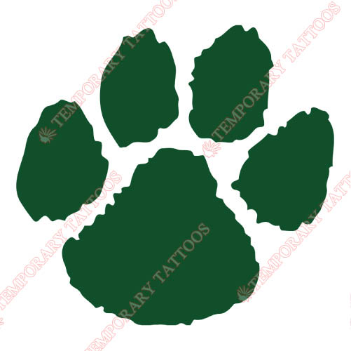 Northern Michigan Wildcats Customize Temporary Tattoos Stickers NO.5689